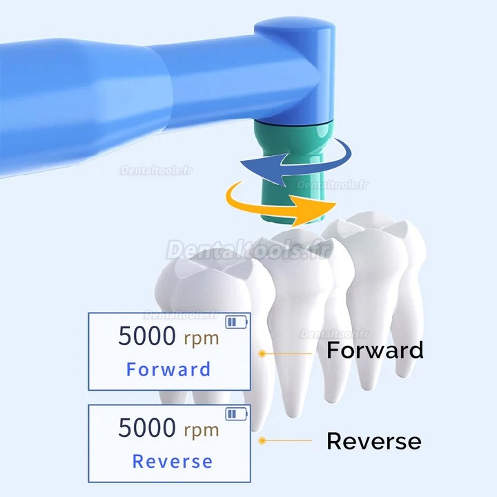 Pièce à main électrique sans fil pour prophylaxie dentaire 10 réglages de vitesse