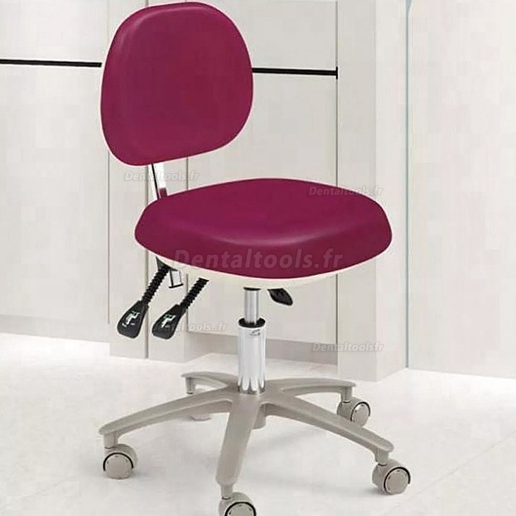 HS-6-R Tabouret dentaire réglable avec dossier Chaise d'assistante dentaire en cuir PU