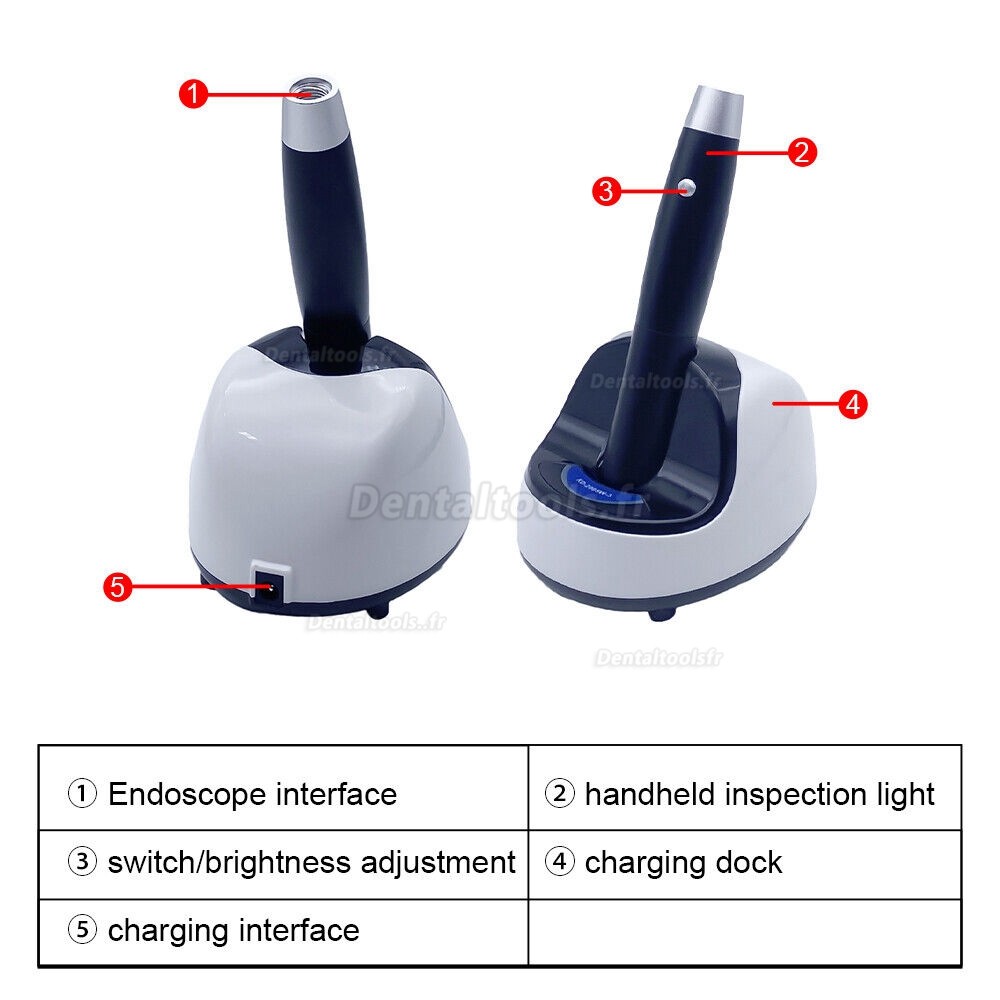 KWS KD-2005W-3 5W Lampe d'inspection dentaire portative lumière d'examen rechargeable à LED
