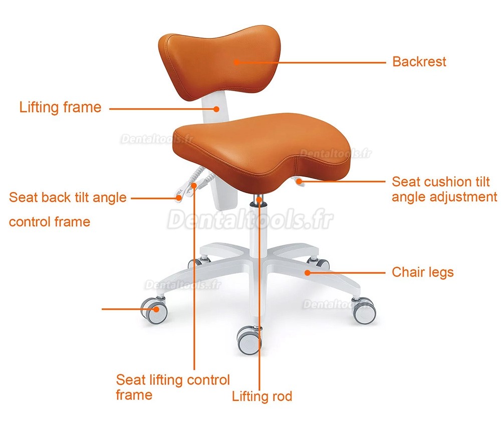 PLST-060 Chaise d'assistante dentaire ergonomique réglable tabouret d'infirmière hygiéniste dentaire